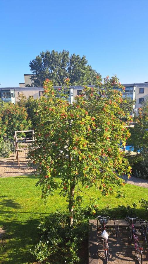Kotimajoitukset I Lyxig Laegenhet Naera Emporia *